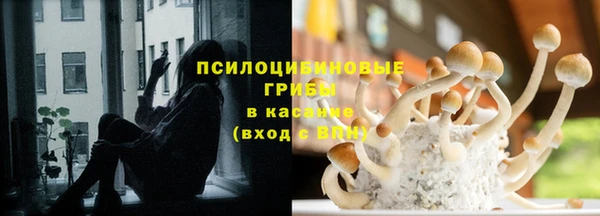 стаф Нефтегорск