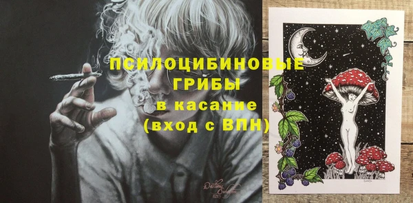 стаф Нефтегорск
