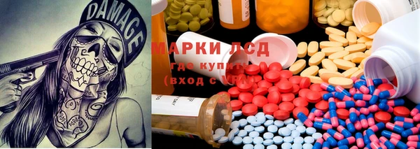 стаф Нефтегорск