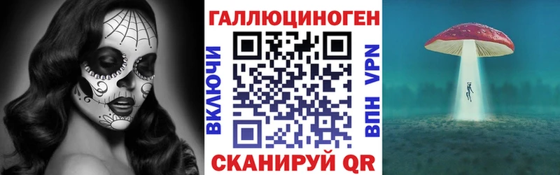 Галлюциногенные грибы Psilocybe  hydra как зайти  Боготол  где продают  