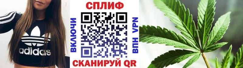 Бошки марихуана Amnesia  Боготол 